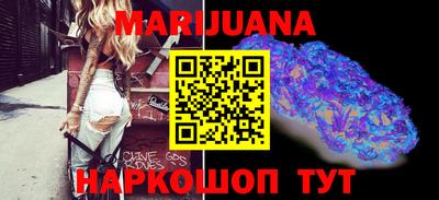 индика Лесосибирск